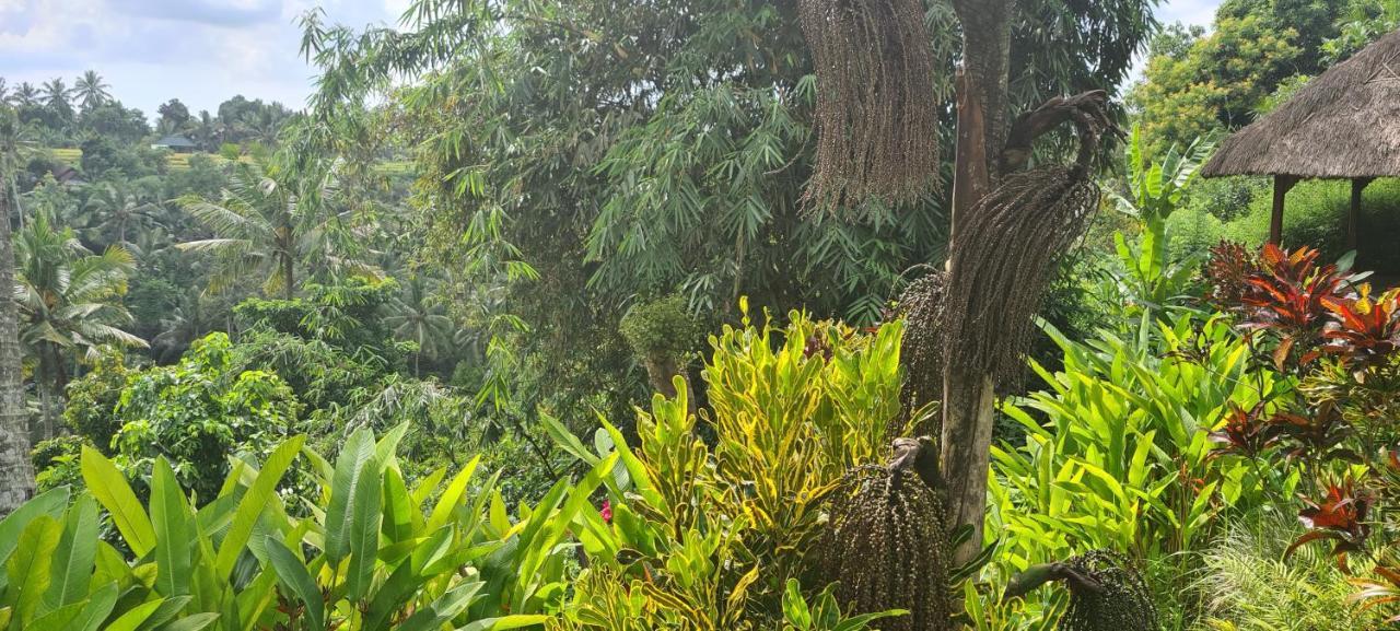 Rumah Sungai Villa Ubud Dış mekan fotoğraf