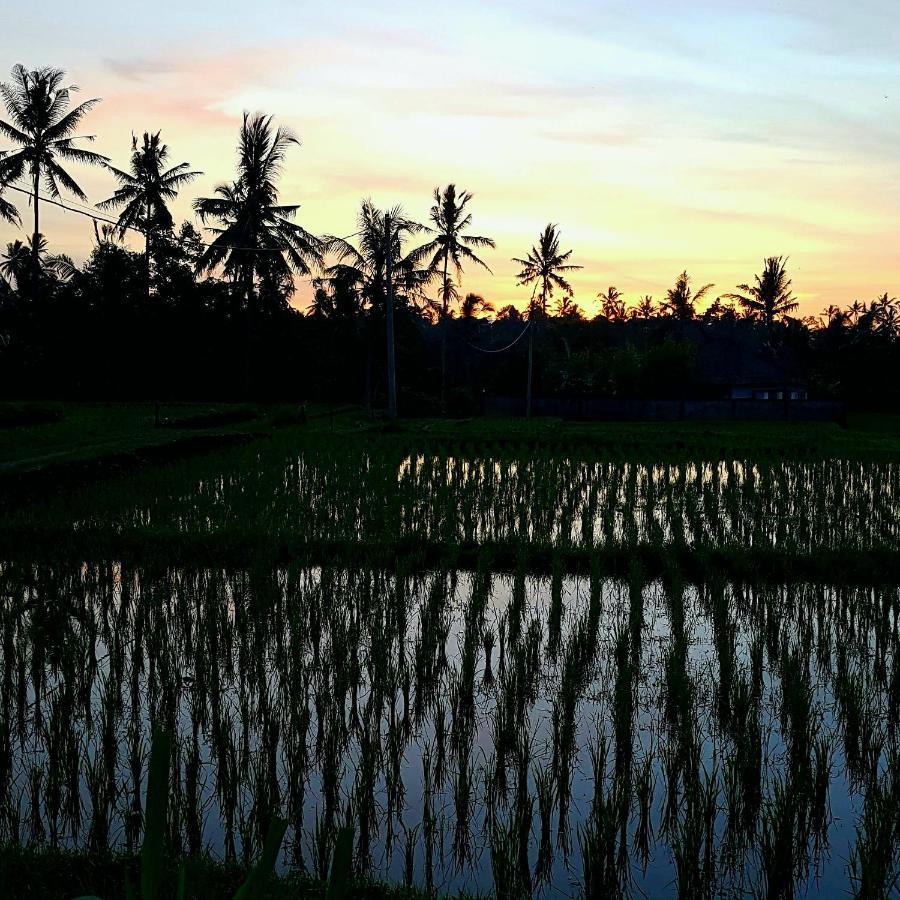 Rumah Sungai Villa Ubud Dış mekan fotoğraf