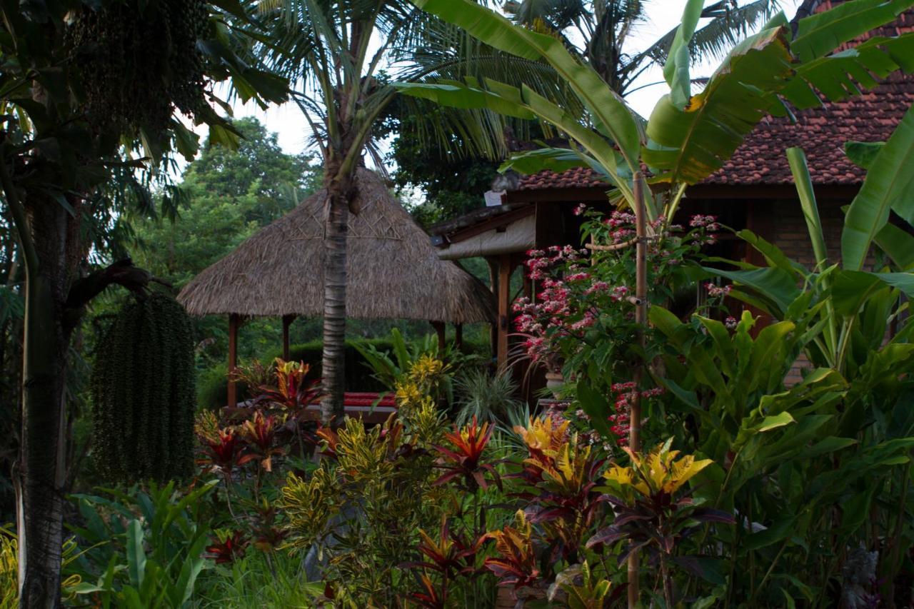 Rumah Sungai Villa Ubud Dış mekan fotoğraf