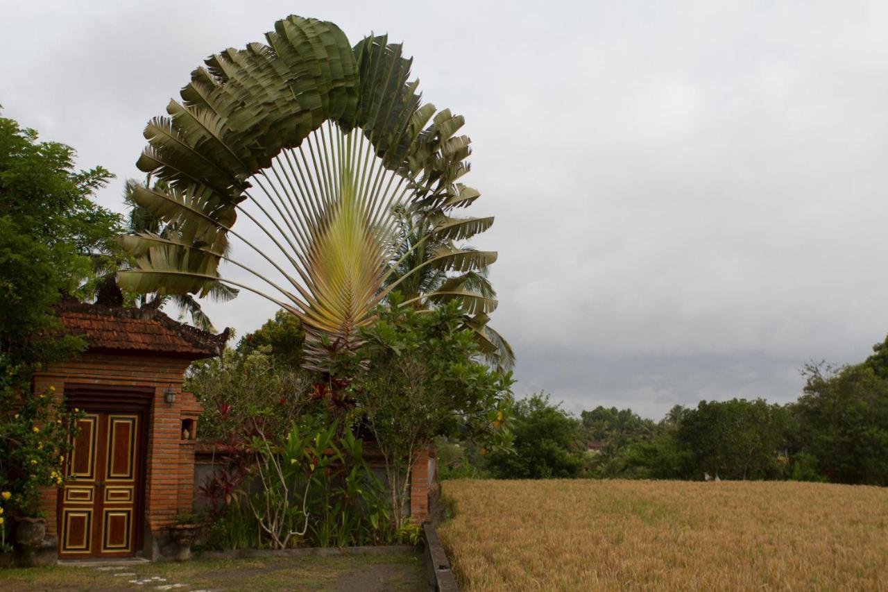 Rumah Sungai Villa Ubud Dış mekan fotoğraf