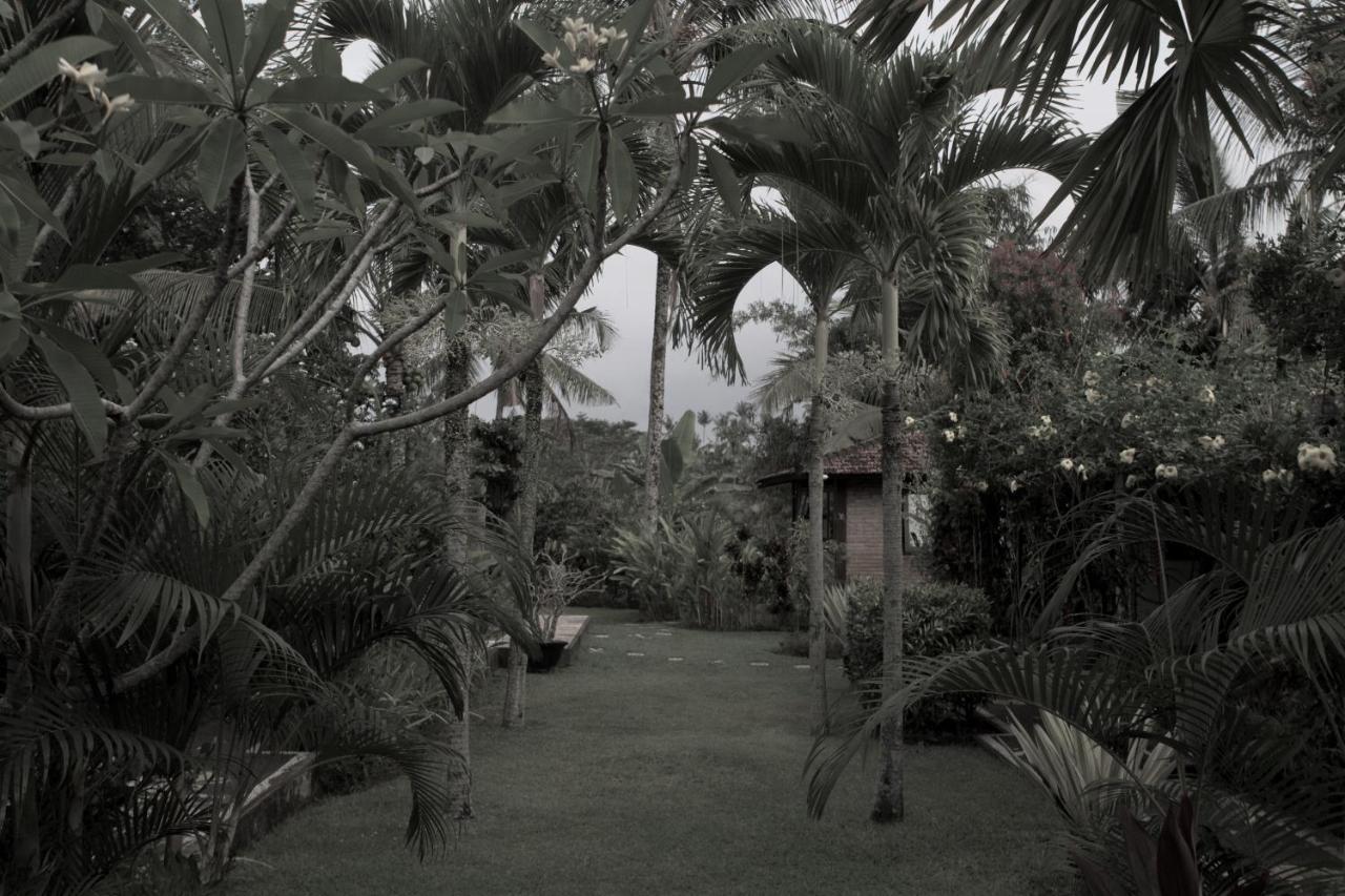 Rumah Sungai Villa Ubud Dış mekan fotoğraf