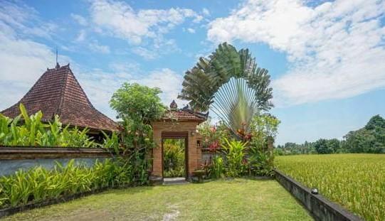 Rumah Sungai Villa Ubud Dış mekan fotoğraf