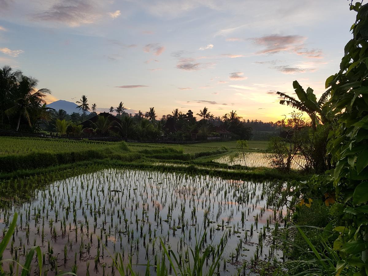 Rumah Sungai Villa Ubud Dış mekan fotoğraf