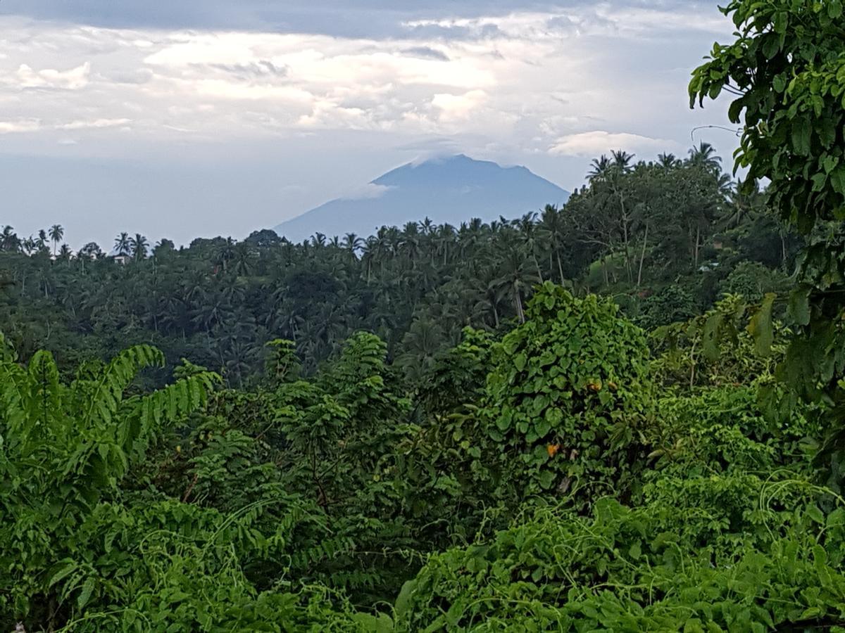 Rumah Sungai Villa Ubud Dış mekan fotoğraf
