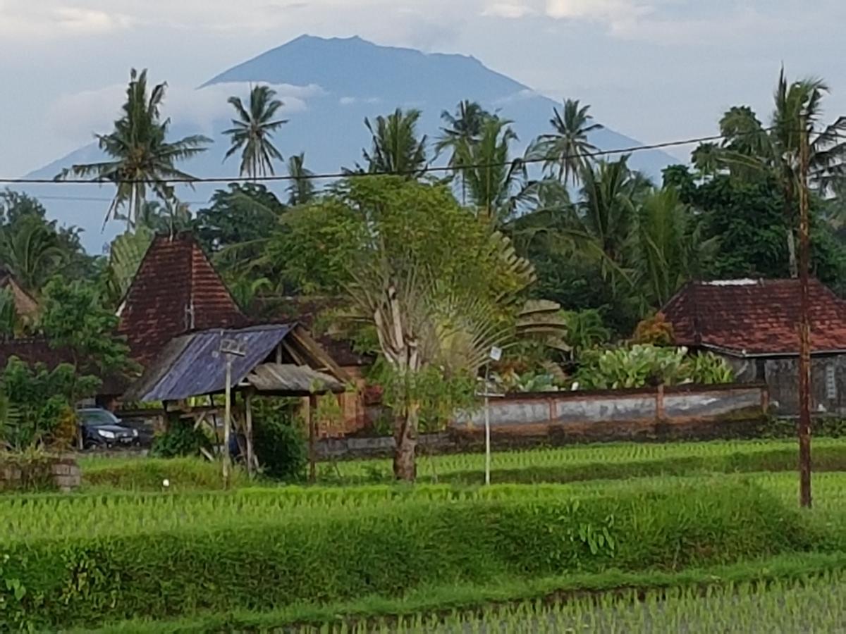 Rumah Sungai Villa Ubud Dış mekan fotoğraf