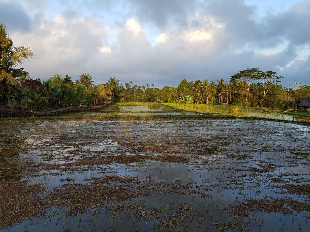 Rumah Sungai Villa Ubud Dış mekan fotoğraf